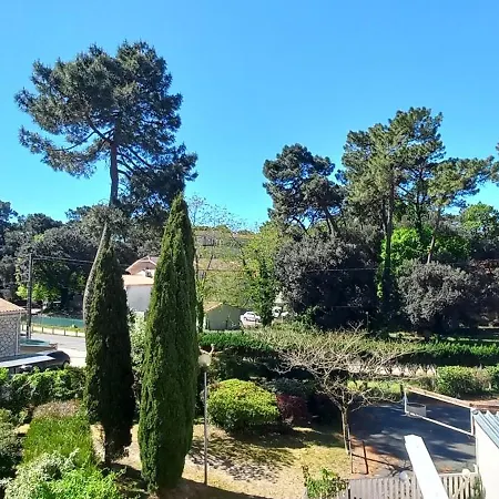 Entre Et Forêt - T3 *