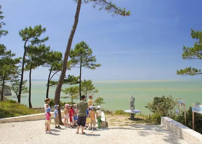 Entre Et Foret - Agreable T3 圣乔治德蒂