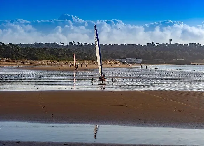 Entre Et Foret - Agreable T3 * 圣乔治德蒂